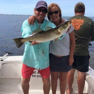 Meet your Posher, Dawn